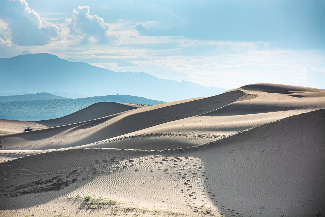 Exploring the Unique Flora of the Desert Southwest